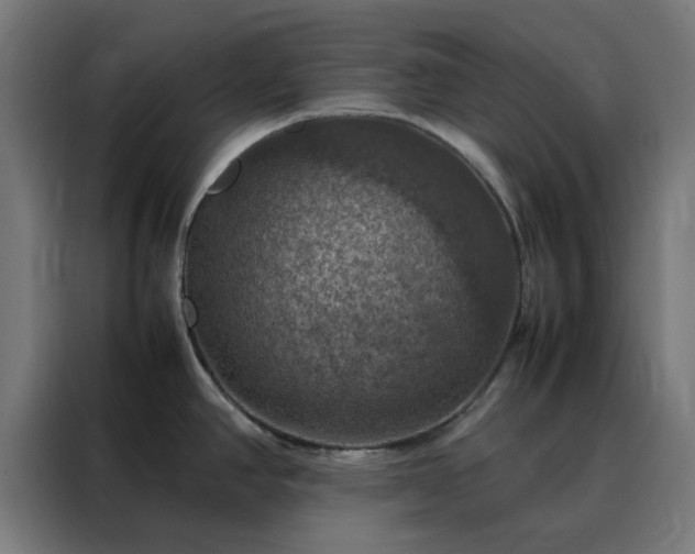 X0000088231390200705221815