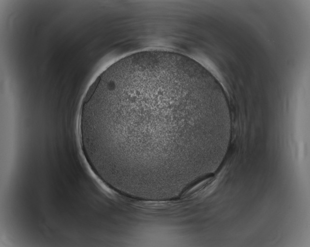 X0000088231391200705221815