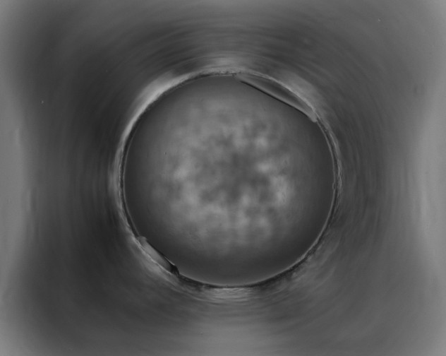 X0000088231392200705221815