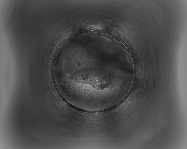 X0000088231393200705221815