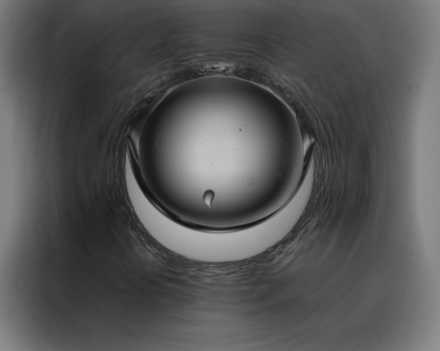 X0000088231394200705221815