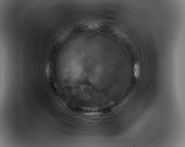 X0000088231395200705221815