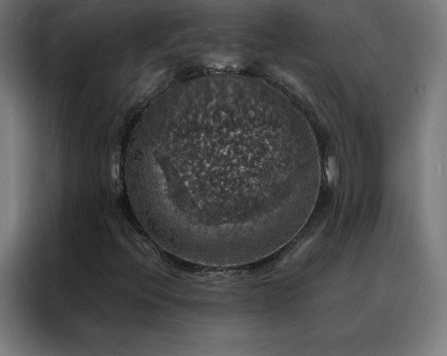 X0000088231396200705221815