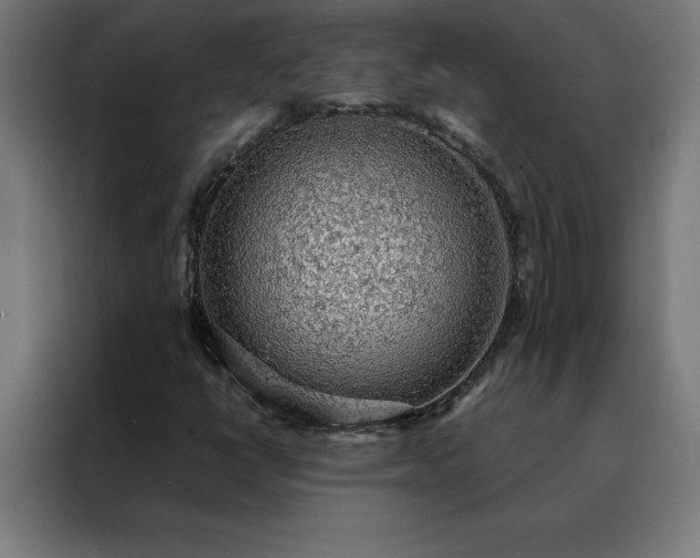 X0000088231398200705221815