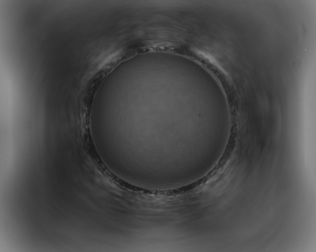 X0000088231399200705221815