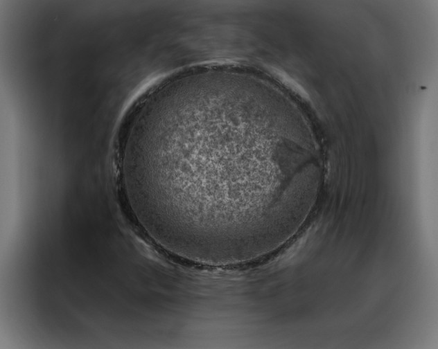 X0000088231400200705221815
