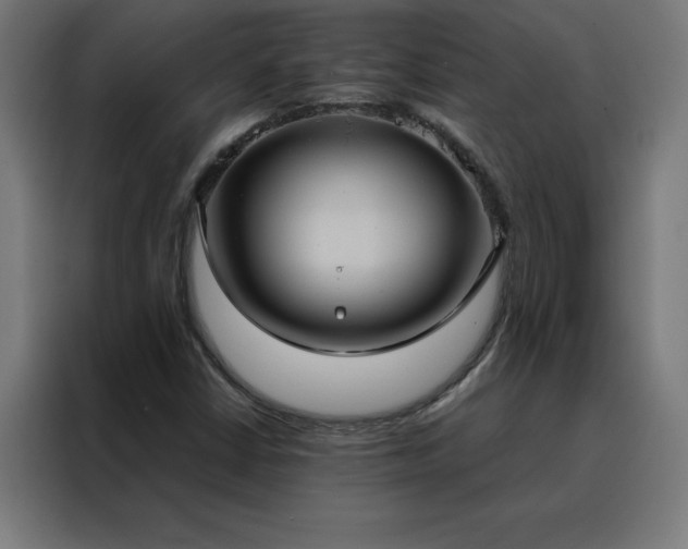 X0000088231402200705221815