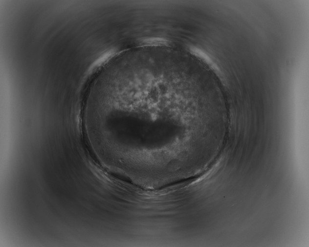 X0000088231403200705221815