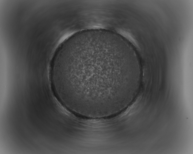 X0000088231404200705221815