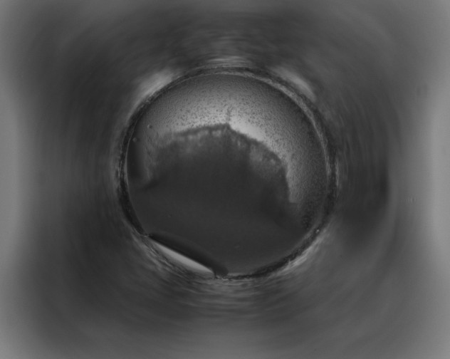 X0000088231405200705221815