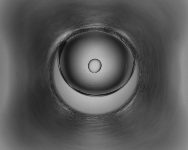 X0000088231406200705221815