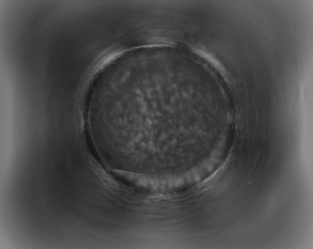 X0000088231407200705221815
