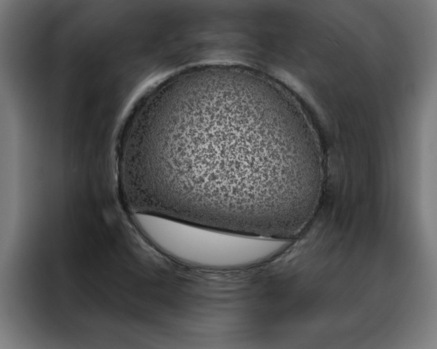 X0000088231408200705221815