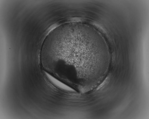 X0000088231409200705221815