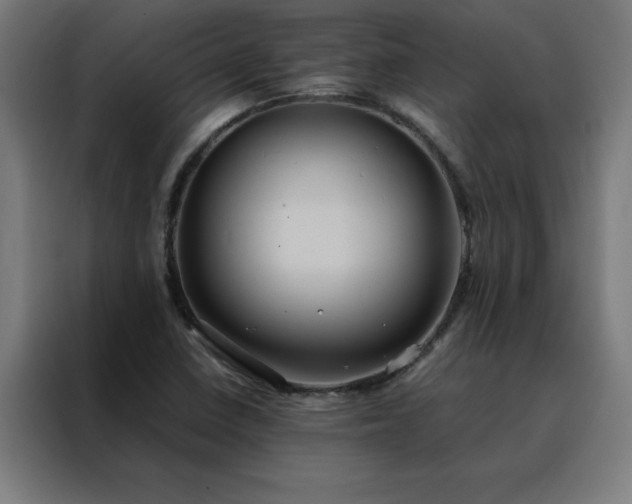X0000088231410200705221815