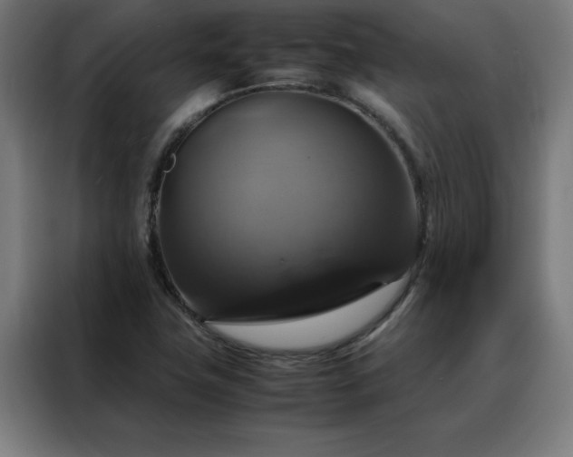 X0000088231411200705221815