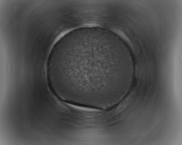 X0000088231412200705221815