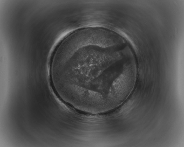 X0000088231416200705221815