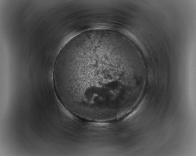 X0000088231417200705221815