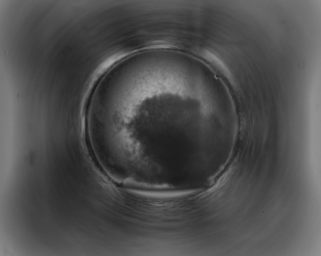 X0000088231419200705221815
