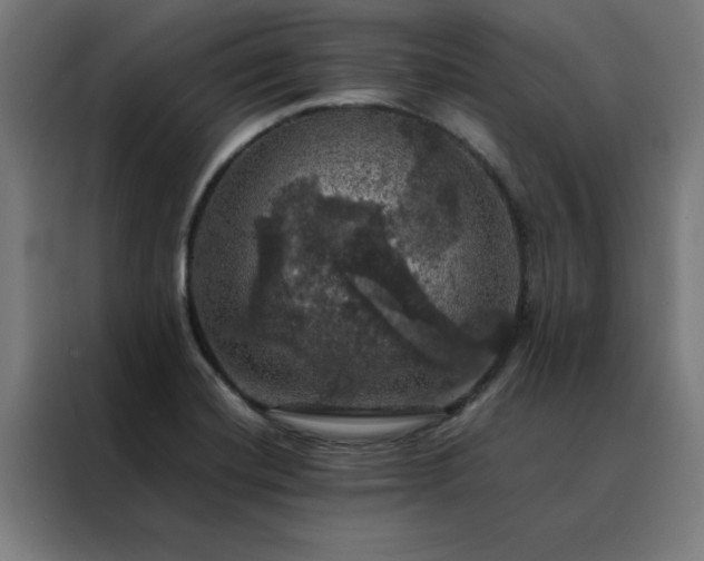 X0000088231420200705221815