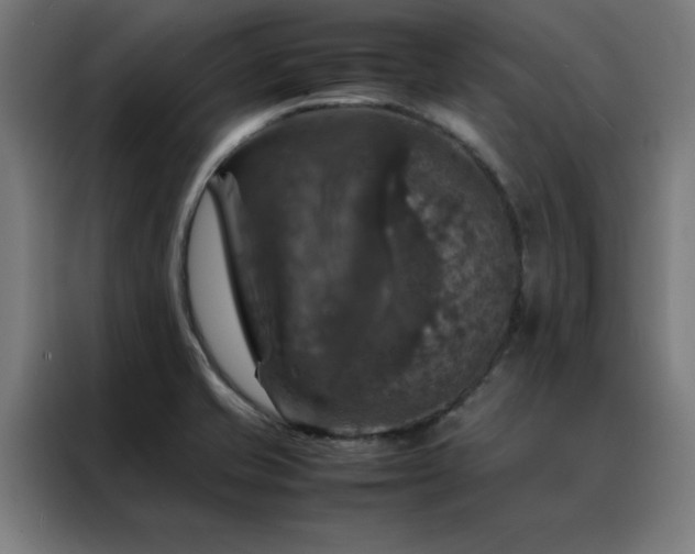 X0000088231421200705221815