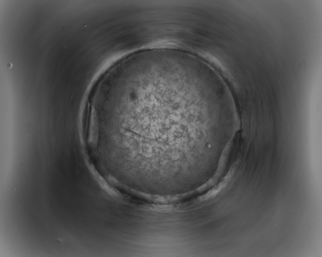 X0000088231422200705221815