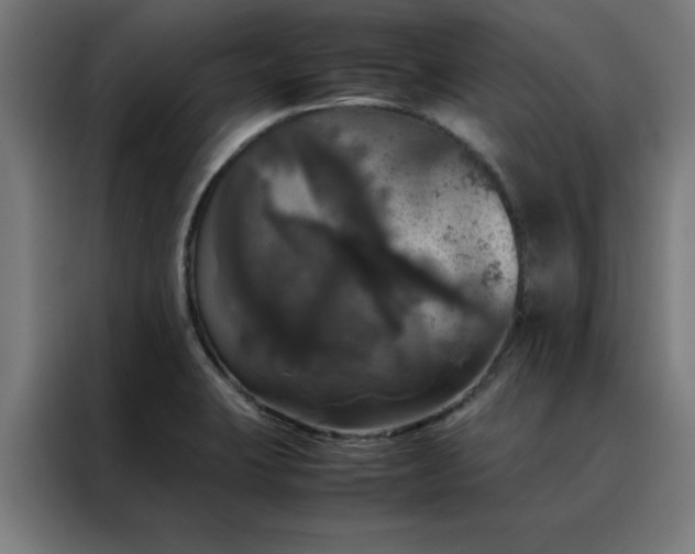 X0000088231423200705221815