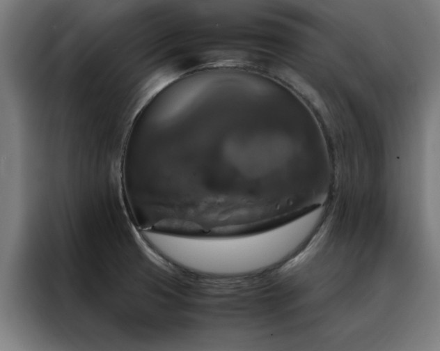 X0000088231425200705221815