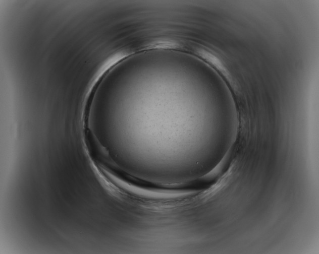 X0000088231426200705221815