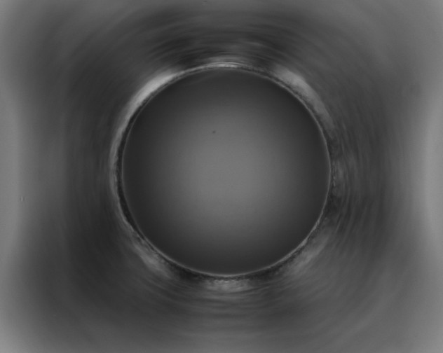 X0000088231427200705221815