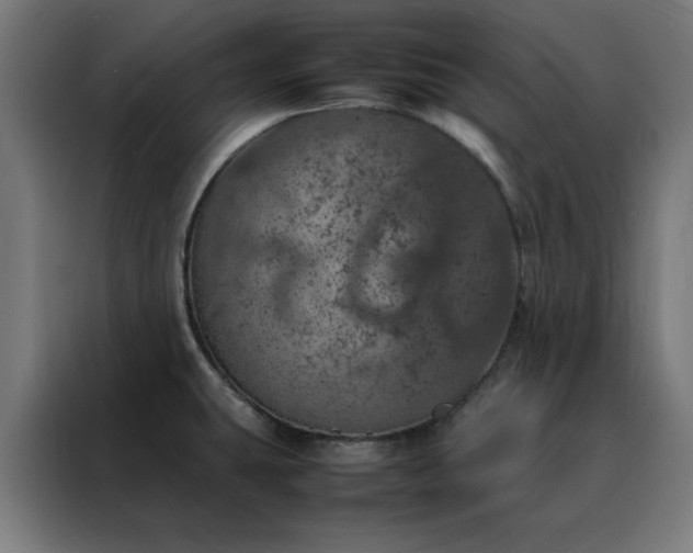 X0000088231431200705221815