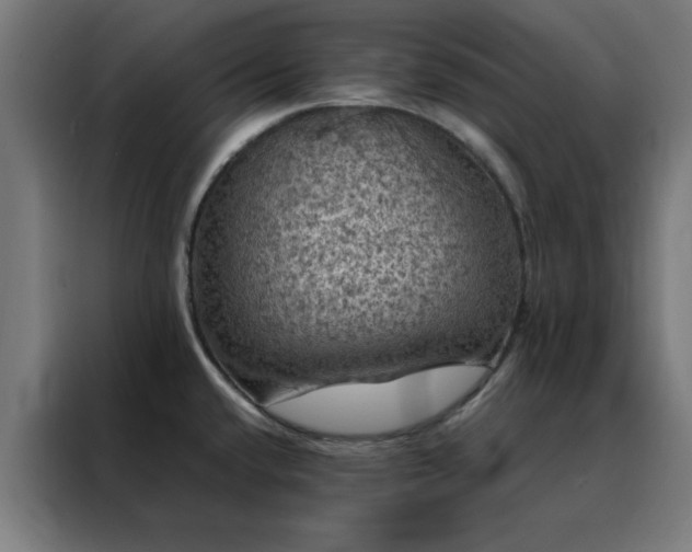 X0000088231432200705221815