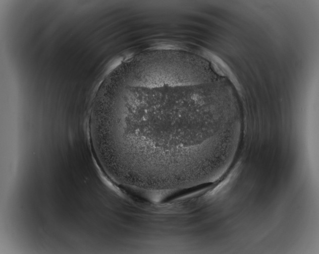 X0000088231433200705221815