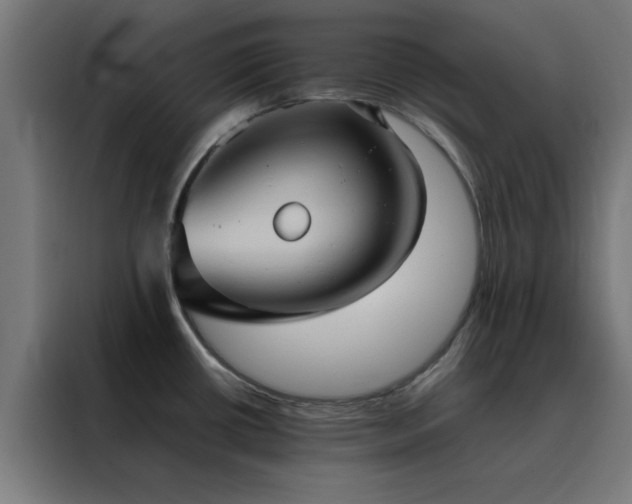 X0000088231434200705221815