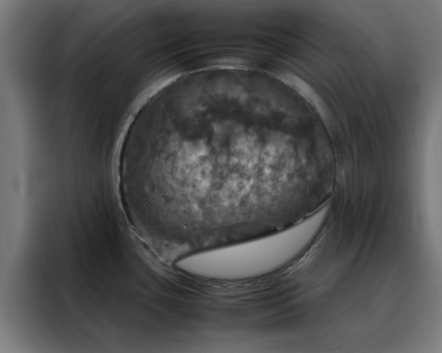 X0000088231435200705221815