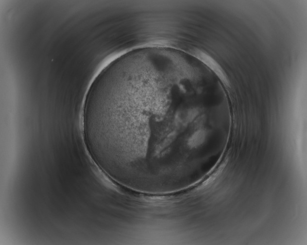 X0000088231436200705221815