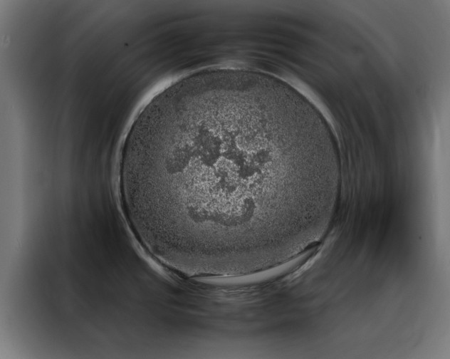 X0000088231437200705221815