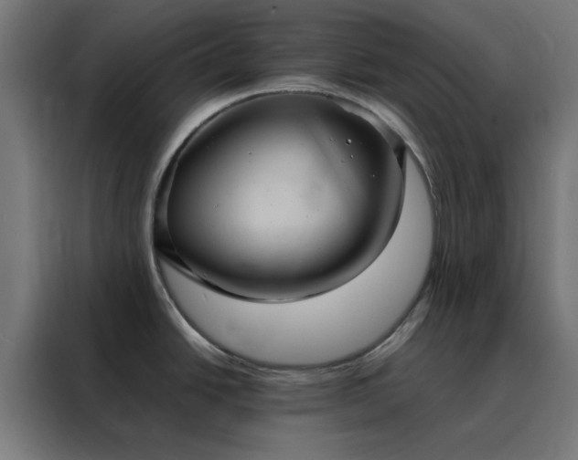 X0000088231438200705221815