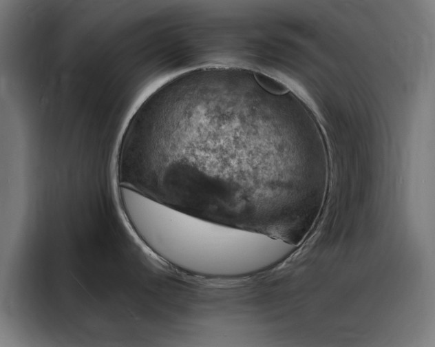 X0000088231440200705221815