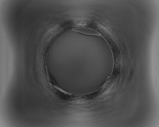 X0000088231441200705221815