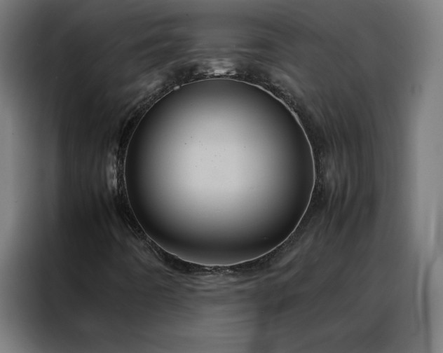 X0000088231442200705221815
