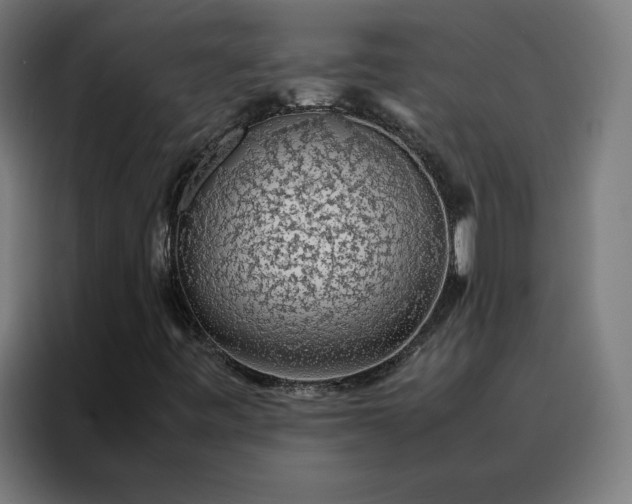 X0000088231443200705221815