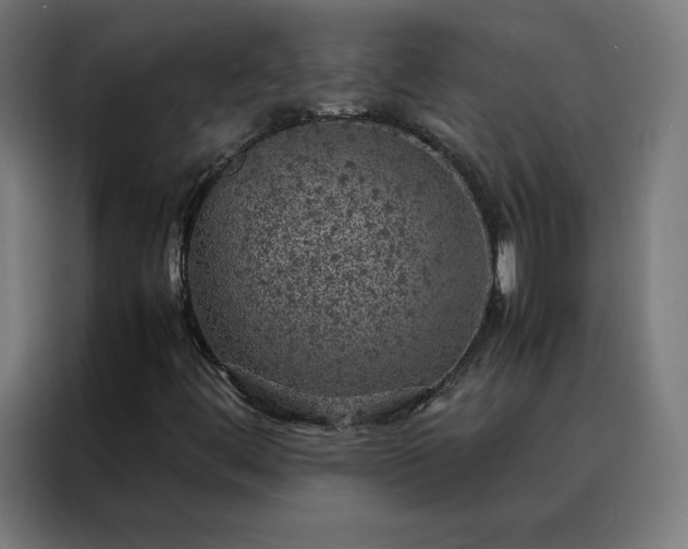 X0000088231444200705221815