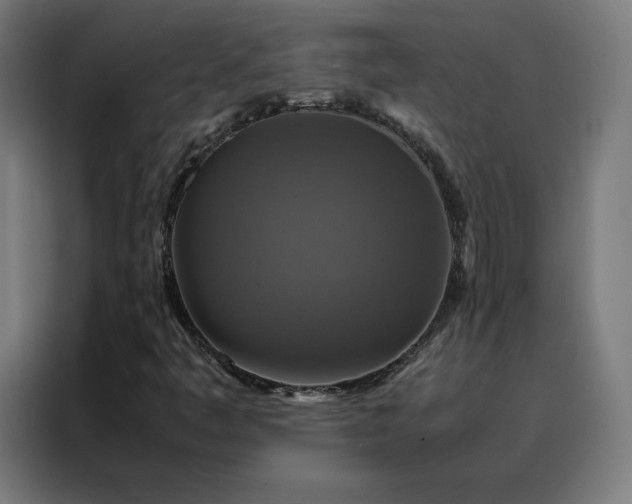 X0000088231445200705221815