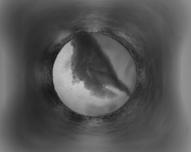 X0000088231446200705221815
