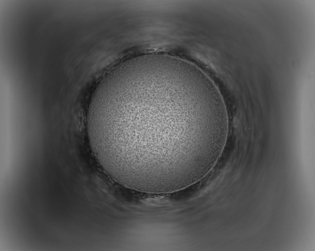 X0000088231447200705221815