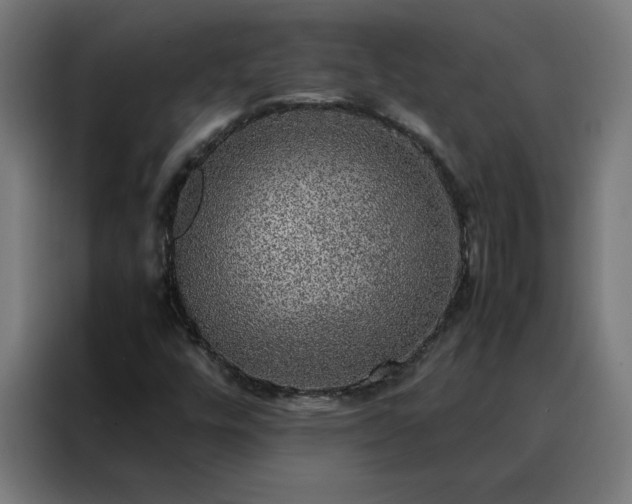 X0000088231448200705221815