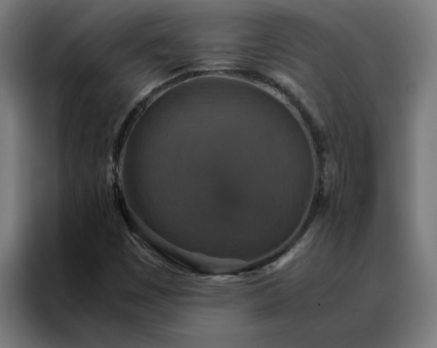 X0000088231449200705221815