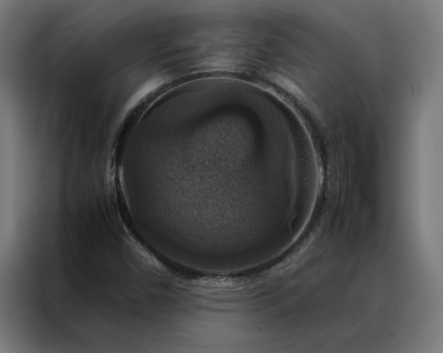 X0000088231450200705221814